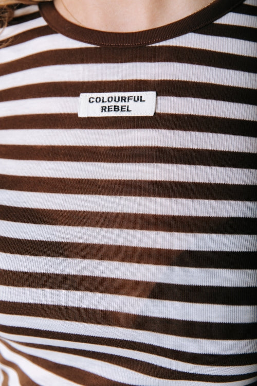 Colourful Rebel - Juna Stripe Roundneck Top / Brown