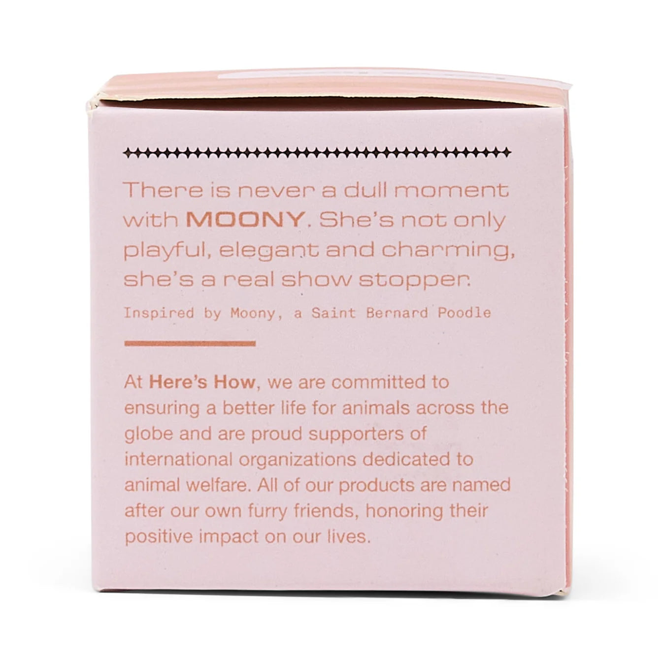 Here's How The Moony Glass Bottle Stopper