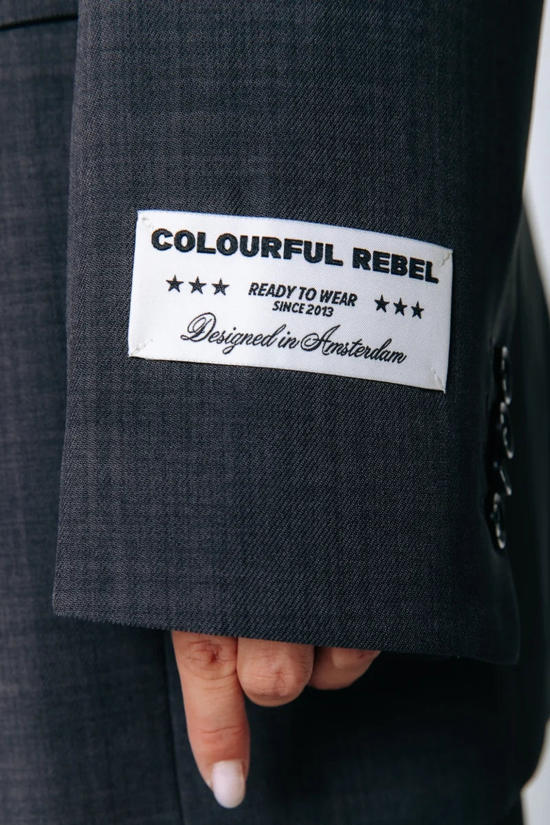 Colourful Rebel - Aily Single Breasted Blazer / Dark Grey