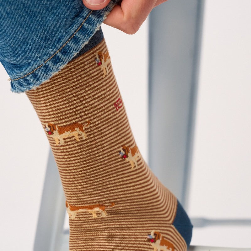 Billybelt - Animal Patterned Socks / Saint. Bernard
