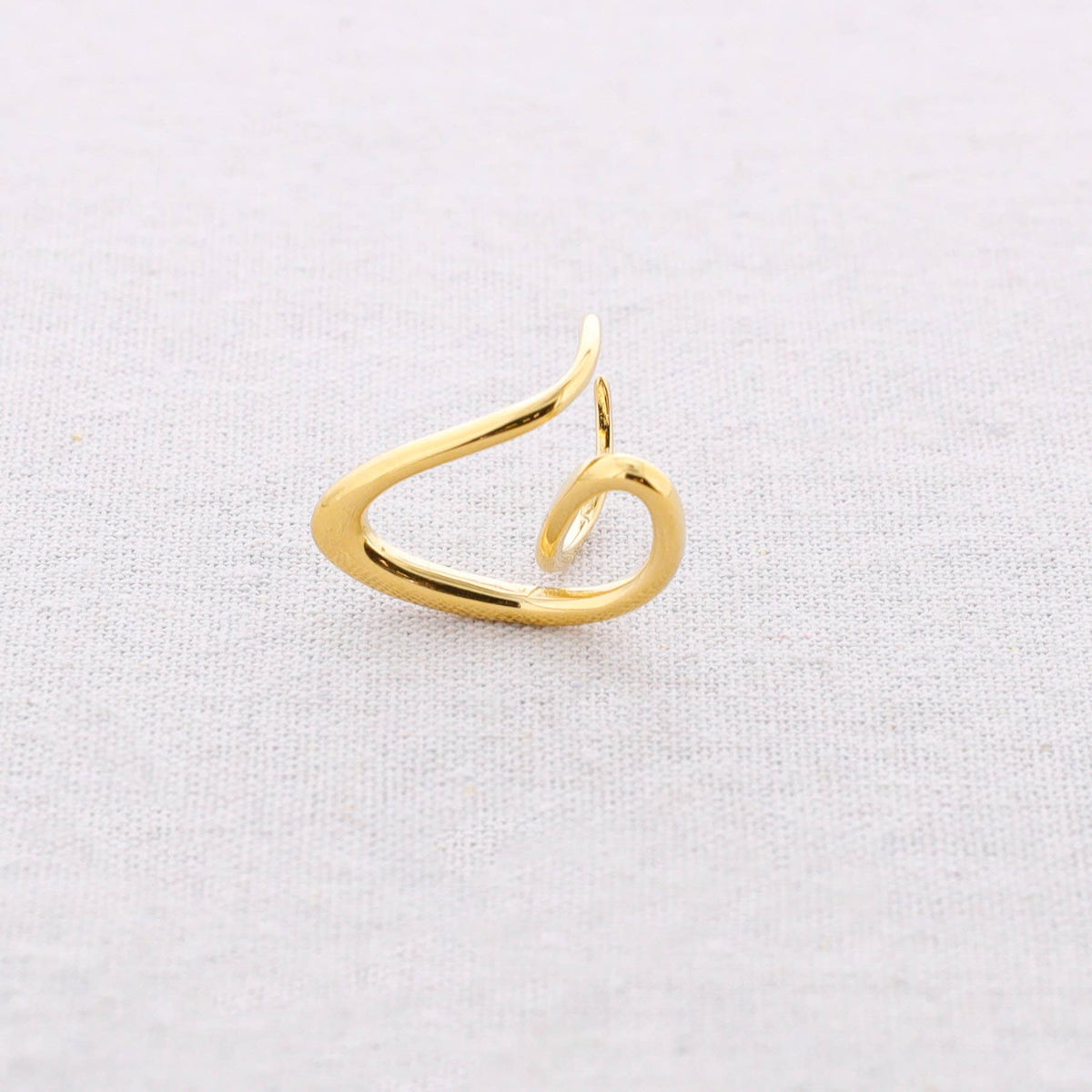 Ring - Loops