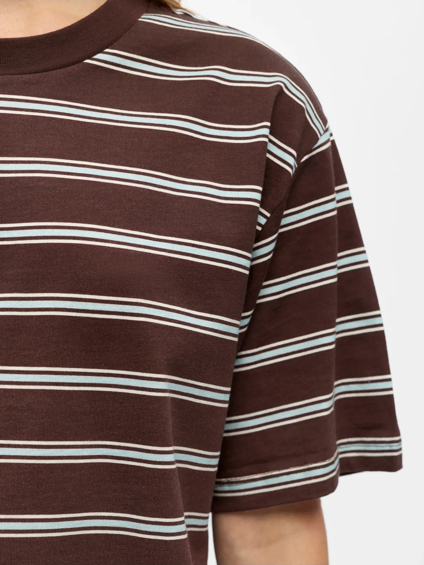 Object Loose Fit T-Shirt - Seal Brown / Winter Sky